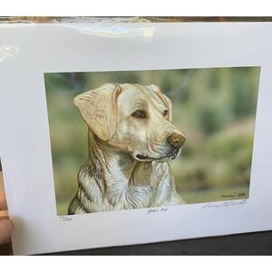 New Art Painting Print‎ yellow lab Dog Puppy Danny O’Driscoll 2008 46/500 11x114